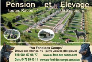 cartevisiteEdeLOVINFOSSE.jpg