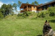 chambre-d-hote-dog-adventure.jpg