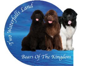 elevage-terreneuve-bearsof-the-kingdom.png