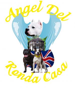 Eleveur be angel del ronda casa