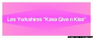 eleveur-yorkshire-kasa-give-n-kiss.jpg