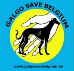galgoSaveBelgium.jpg