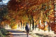 Gite be ravel inn ambleve