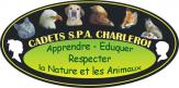 Logo cadets srpa charleroi